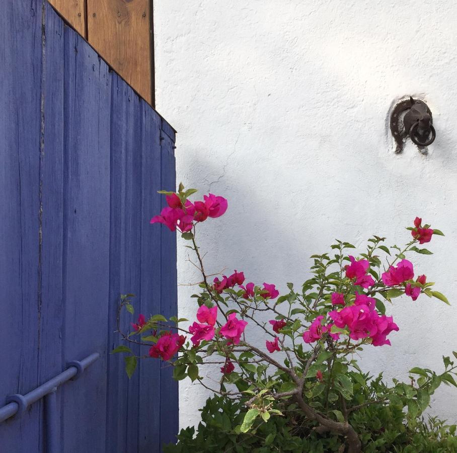 Posada Colibri - Hotel & Spa San Juan Teotihuacan Exterior photo
